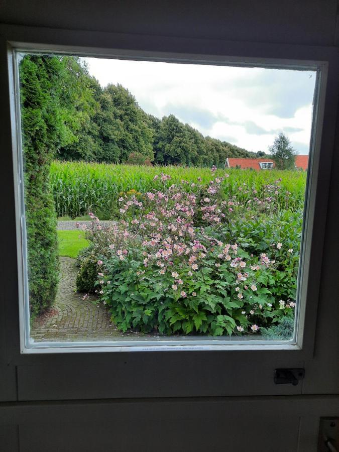 Vledderstee Lejlighed Vledderveen  Eksteriør billede