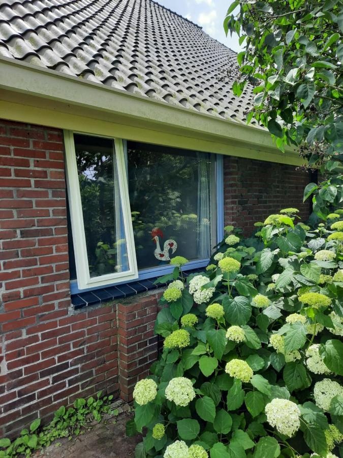 Vledderstee Lejlighed Vledderveen  Eksteriør billede